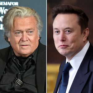 Steve Bannon and Elon Musk