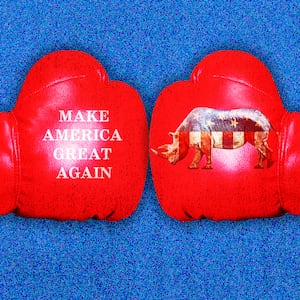 Republican civil war boxing gloves photo illustration