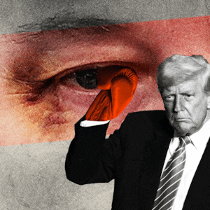 Photo illustrative gif of Donald Trump wearing boxing gloves on top of a close up photo of Elon Musk with a black eye