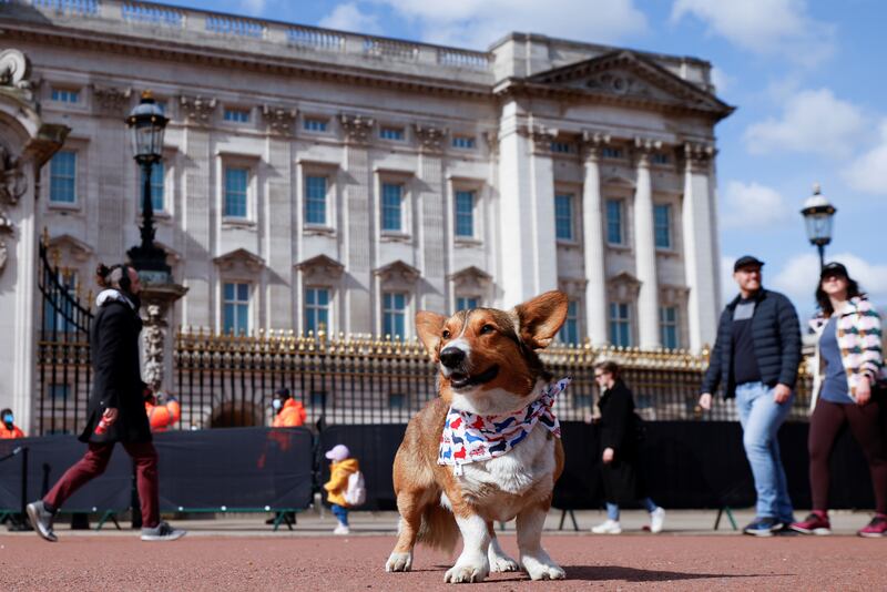 2021-04-11T094533Z_1908158144_RC2LTM91PYBW_RTRMADP_3_BRITAIN-ROYALS-PHILIP-BUCKINGHAM-PALACE_fs7uao
