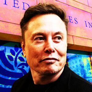 Elon Musk, Institute of Peace composite