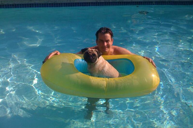 galleries/2012/11/03/blake-lively-usher-more-celebrities-crazy-about-their-dogs-photos/charlie-sheen-celeb-dogs_qwhth9