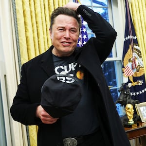 Elon Musk is not leading DOGE or even part of it, the White House claimed in a court filing.