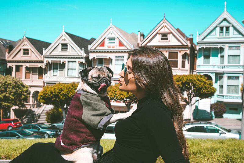 180310-piedra-insta-dogs-doug-the-pug-1_st251x