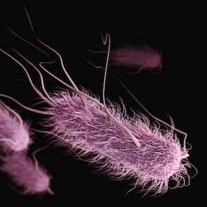 cdc-7tgIlnxj2bM-unsplash_zccc8m