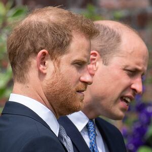 Prince Harry and Prince William