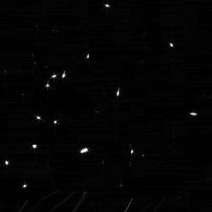 alignment_mosaic_compressed-1536x1041_omcd78