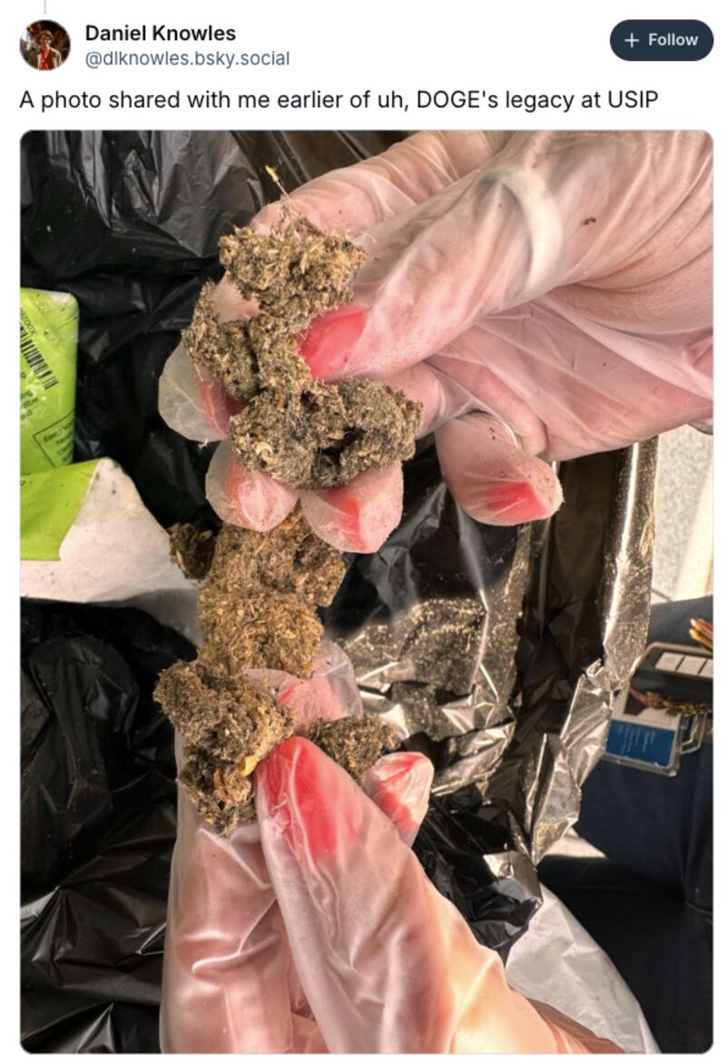 Economist reporter Daniel Knowles shared an image purportedly showing discarded marijuana found at USIP.