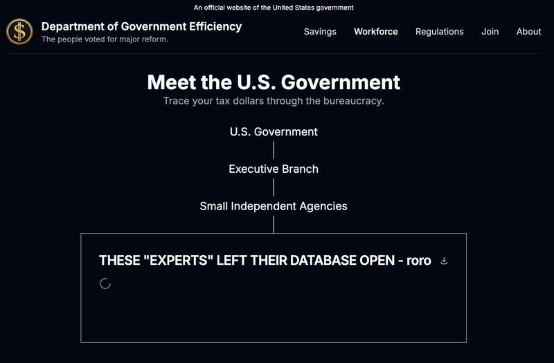Screegrab from the DOGE website.