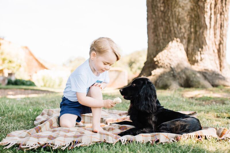 articles/2016/07/22/prince-george-gives-lupo-a-lick-of-ice-cream-as-kate-middleton-celebrates-his-third-birthday/george-lupo_k8lwdq