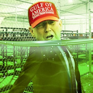 A photo illustration of President Donald Trump floating in swamp water at the "Alligator Alcatraz" detention center in Florida.