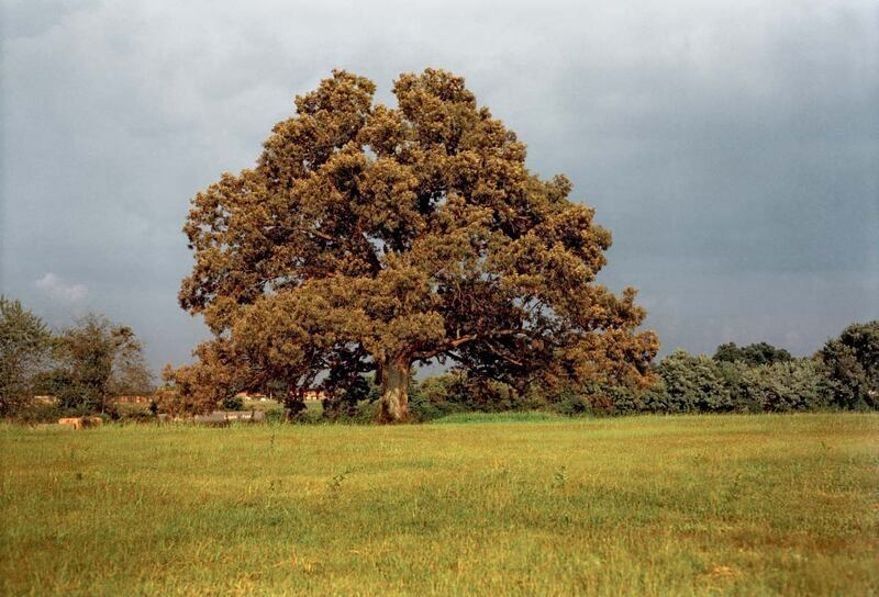 Eggleston_Election_Eve_Page_005_Image_0001_vp3zzw